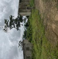 Terrain à vendre Bomono, Douala