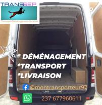 Déménagement-Transport-Livraison 