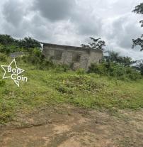 Terrain titré à Bomono, Douala