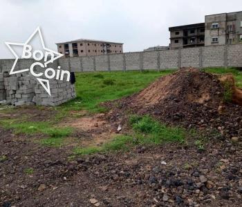 Terrain titré à vendre à Douala bonadiwoto (grand mall)