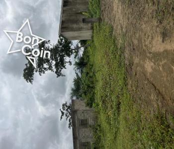 Terrain à vendre Bomono, Douala