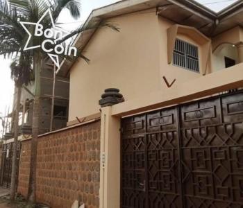 Appartement moderne à louer à Omnisports, Yaoundé