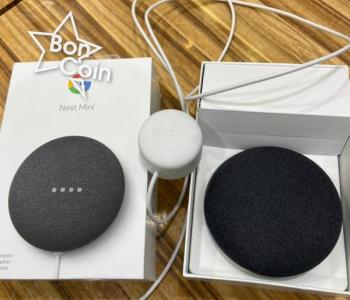 Google Nest mini compatible avec wifi et bluetooth