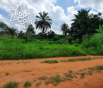 Terrain Titré Loti à vendre Nkoabang