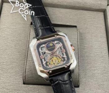 Montres de luxe