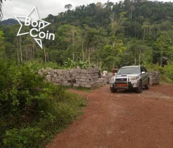 Terrain titré à vendre à Mbankomo