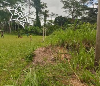 Terrain titré et loti à vendre à Mbankomo
