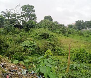 Terrain à vendre à Akwa Ngodi, Douala