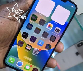 iPhone 13 Pro Max 256Go