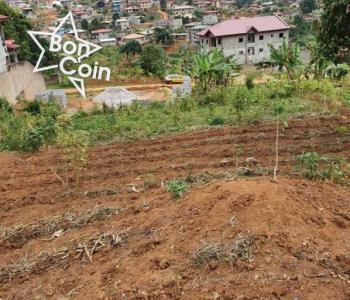 Terrain Titré Loti à vendre à Emana, Yaoundé