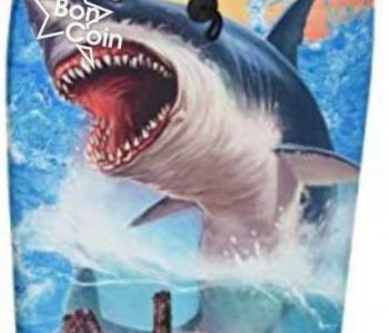 Planche de Natation - 84 cm