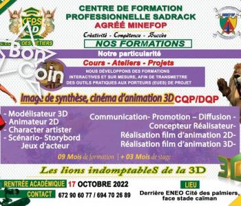 Formation en dessin Animé 2D