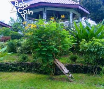 TERRAIN A VENDRE KRIBI, NGOYE