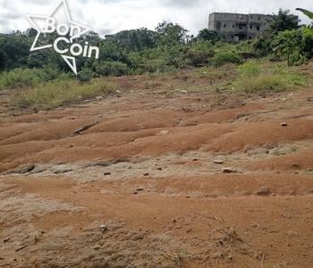 Terrain titré 200M² à vendre à Lendi, Douala