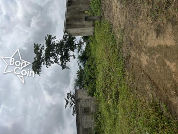 Terrain à vendre Bomono, Douala