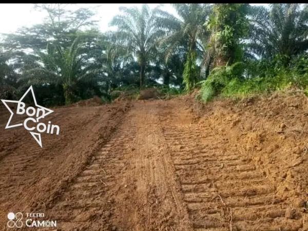 TERRAIN à vendre Ngombé par lendi, Douala