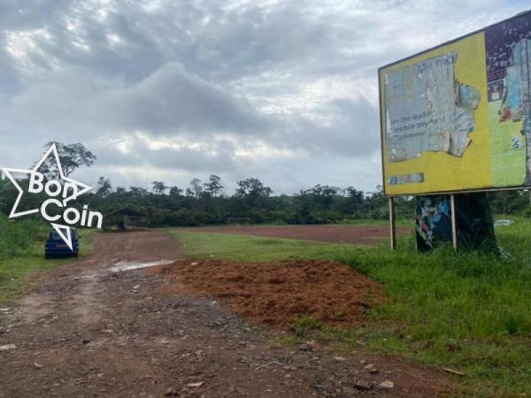 Terrain titré à vendre à Nkolnda 2 - Yaoundé