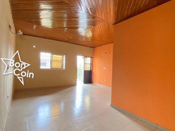 Appartement à louer à Kotto, Douala