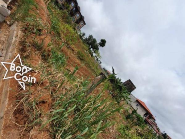 Terrain titré à Emana, Yaoundé