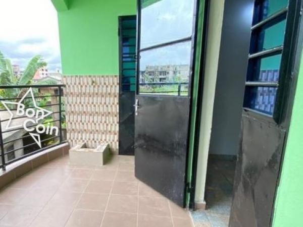 Appartement  à louer à Kotto village, Douala