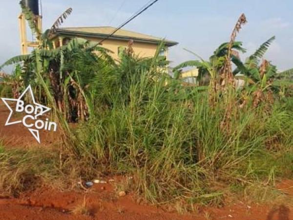 TERRAIN TITRE À VENDRE A AHALA-YAOUNDÉ