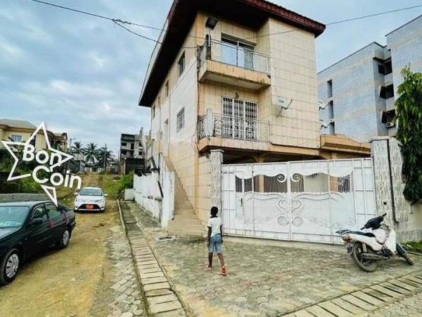 Immeuble avec villa à vendre Kotto, Douala