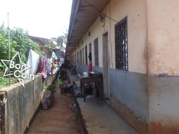 Mini-citée au quartier Cradat - Ngoa-ekele, Yaoundé 
