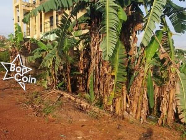 TERRAIN TITRE À VENDRE A AHALA-YAOUNDÉ