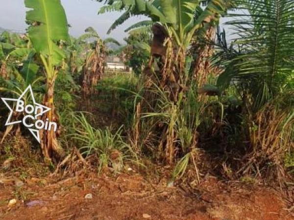 TERRAIN TITRE À VENDRE A AHALA-YAOUNDÉ