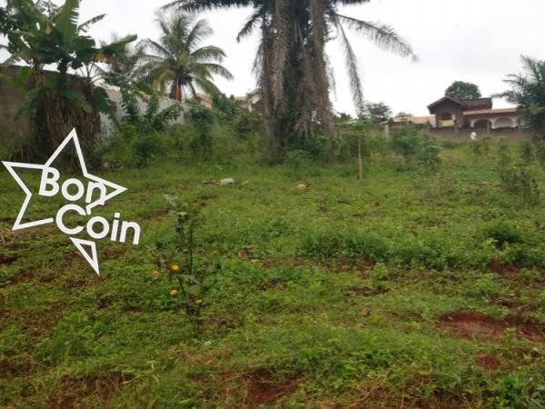 Terrain de 2000m² à vendre à Odza, Yaoundé