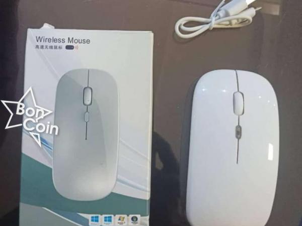 Souris Sans Fil Rechargeable 