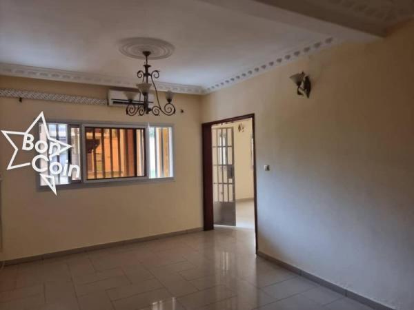 Vaste appartement à louer à Yaoundé, Bastos