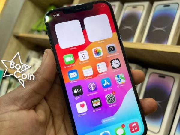 iPhone 12 Pro Max 128Go