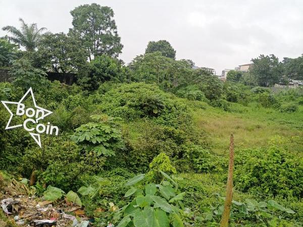 Terrain à vendre à Akwa Ngodi, Douala