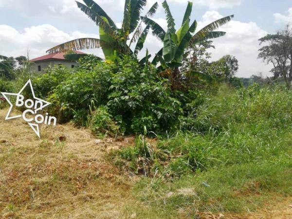 Terrain titré à vendre à Odza borne 12, Yaoundé