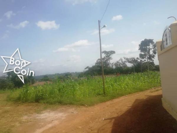 Terrain titré à vendre à Odza, Yaoundé
