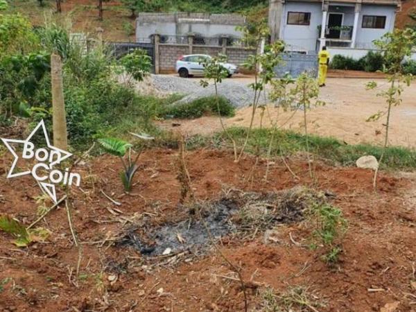 Terrain Titré Loti à vendre à Emana, Yaoundé