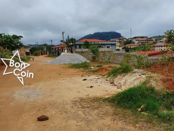 Terrain Titré Loti à vendre à Emana, Yaoundé