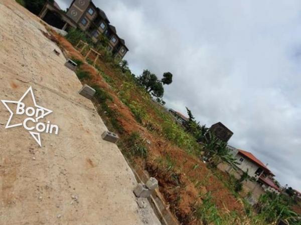 Terrain Titré Loti à vendre à Emana, Yaoundé