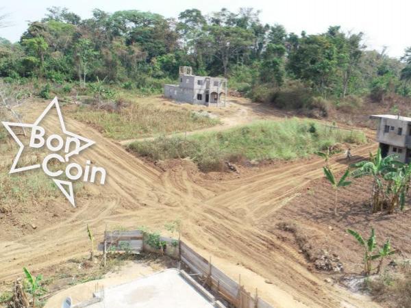 terrain titré à vendre à Fomakap par Obala 8000 le m²