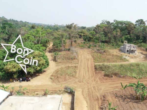 terrain titré à vendre à Fomakap par Obala 8000 le m²