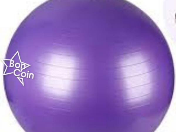 Ballon de Gym- Gym Ball 
