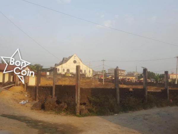 CITE A VENDRE A NDOGBONG, DOUALA