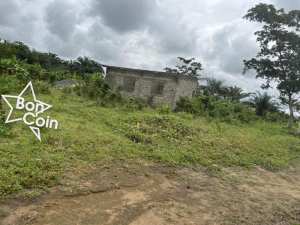 Terrain titré à Bomono, Douala