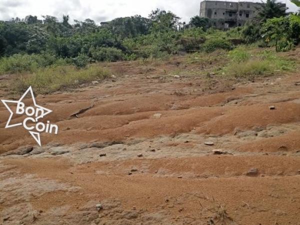 Terrain titré 200M² à vendre à Lendi, Douala